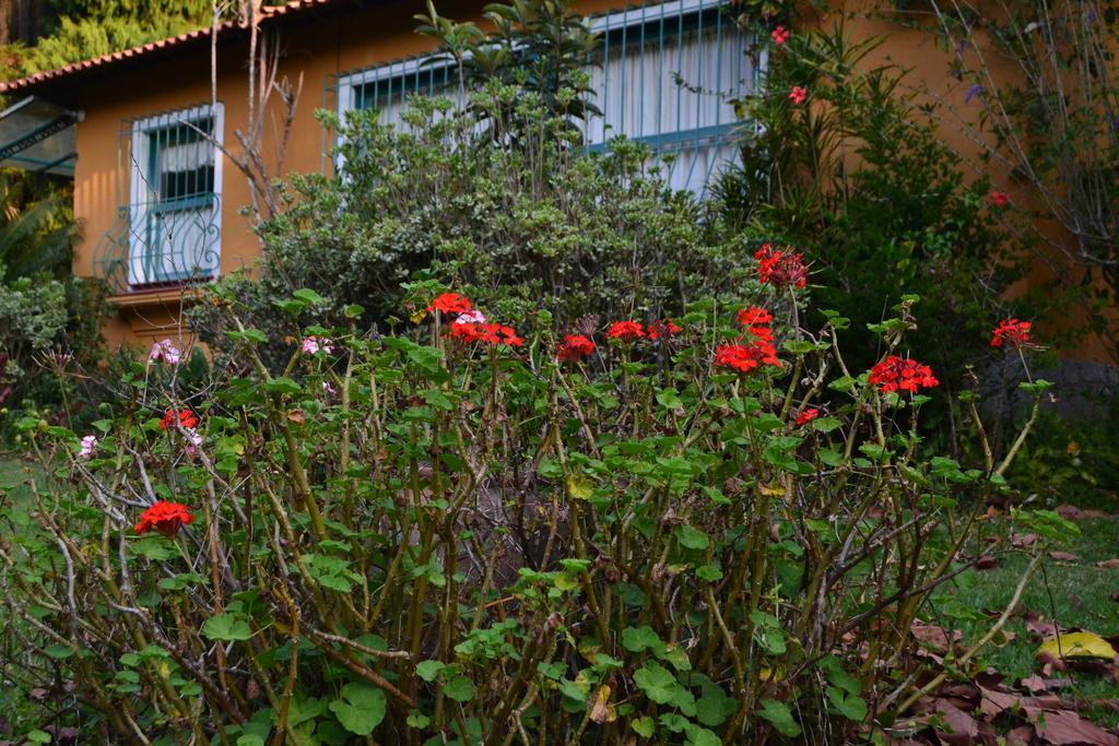 Pousada Amoedo Hotel Petrópolis Buitenkant foto