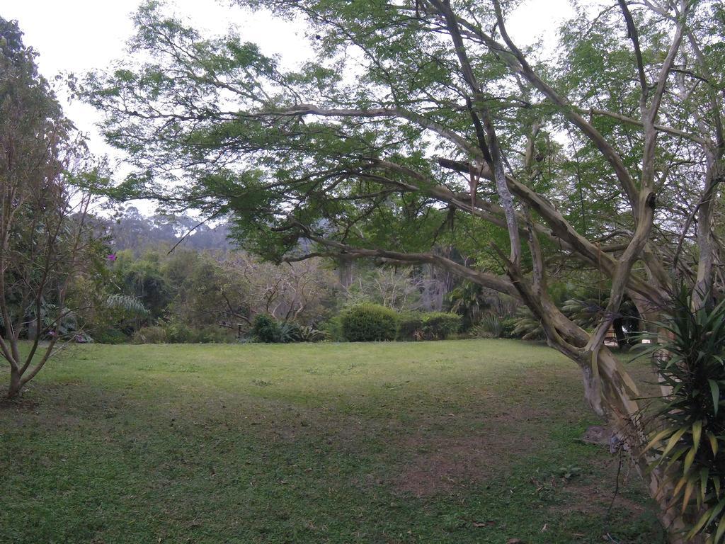 Pousada Amoedo Hotel Petrópolis Buitenkant foto