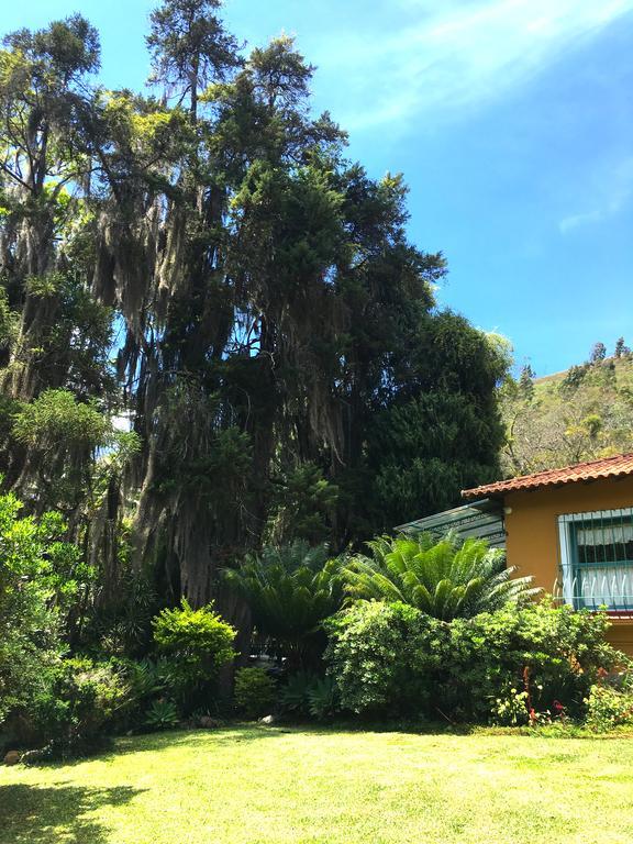 Pousada Amoedo Hotel Petrópolis Buitenkant foto